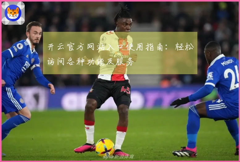 开云官方网站入口使用指南：轻松访问各种功能及服务