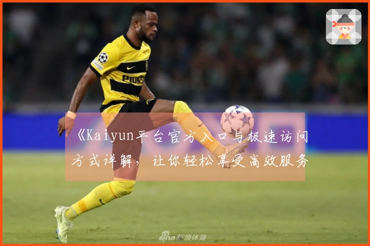 《Kaiyun平台官方入口与极速访问方式详解，让你轻松享受高效服务》